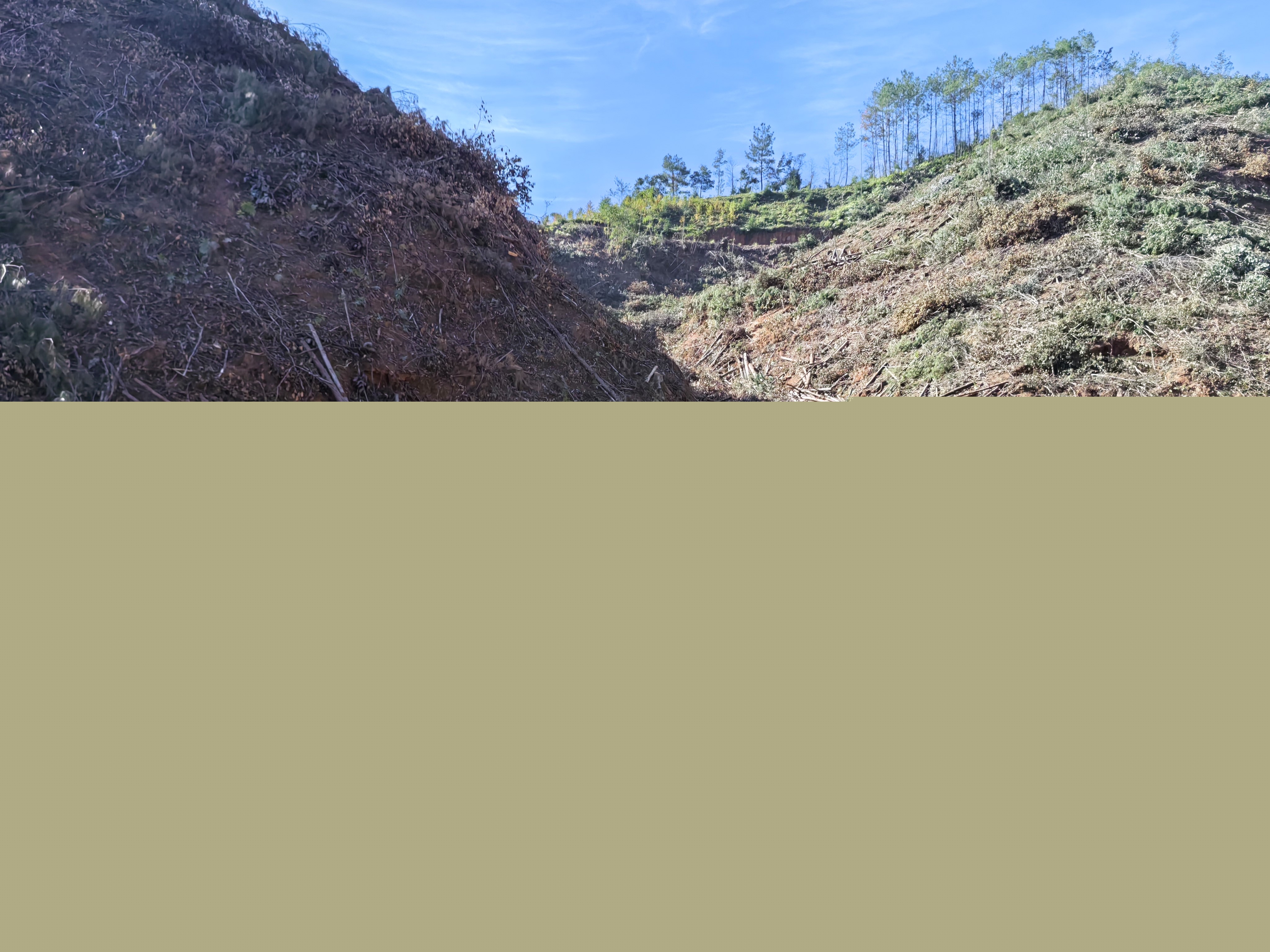 平安常青，我們在行動——常青分公司開展安全生產日活動