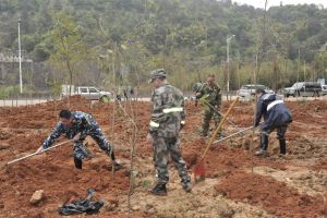 陽(yáng)春三月雨，正是植樹好時(shí)節(jié)