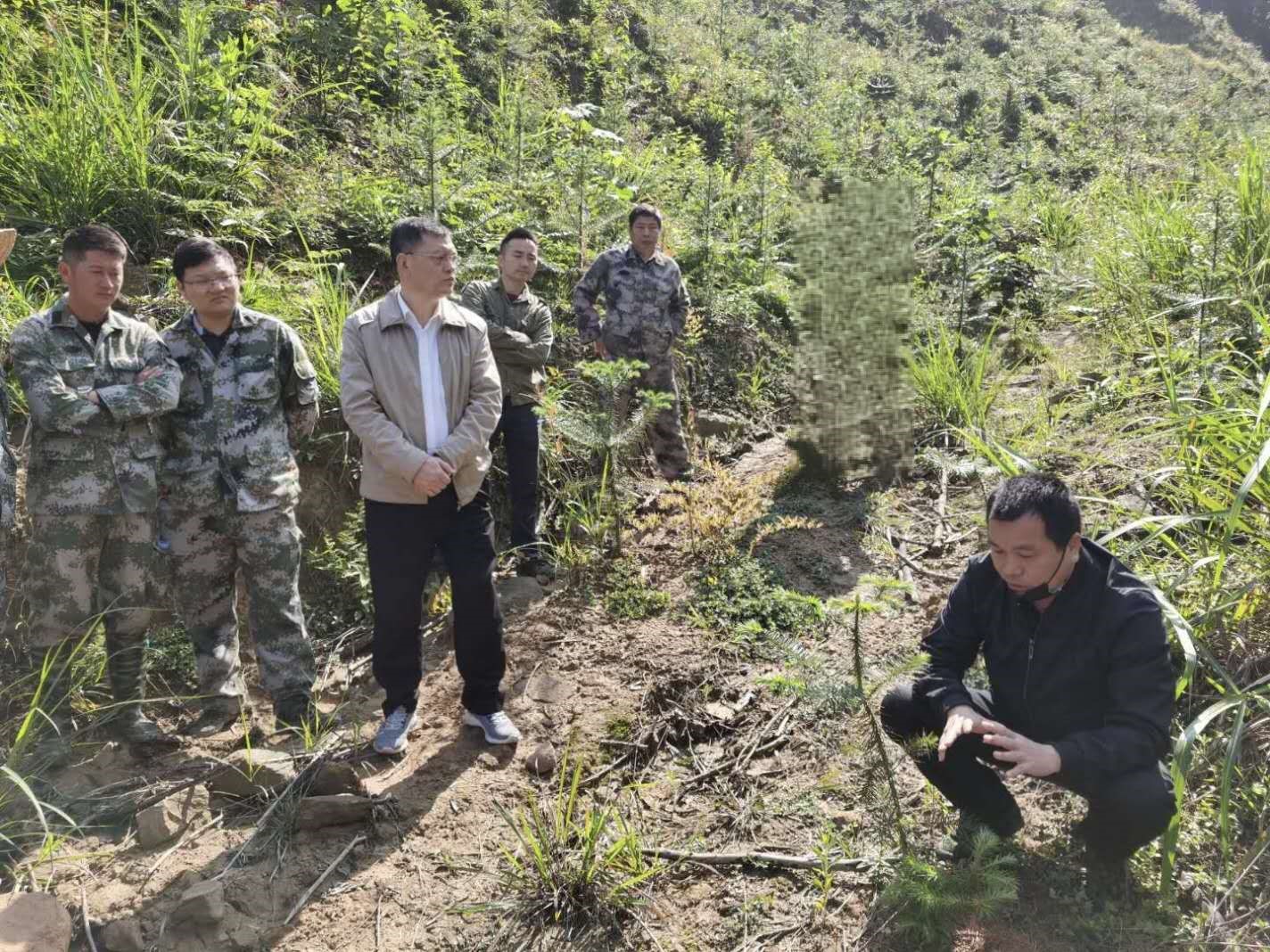 福建金森召開幼林撫育現(xiàn)場會 福建金森召開幼林撫育現(xiàn)場會