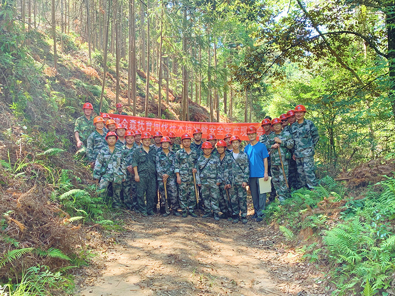 嚴把森林培育質量關，譜寫資源培育新篇章