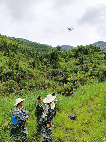 嚴把森林培育質量關，譜寫資源培育新篇章