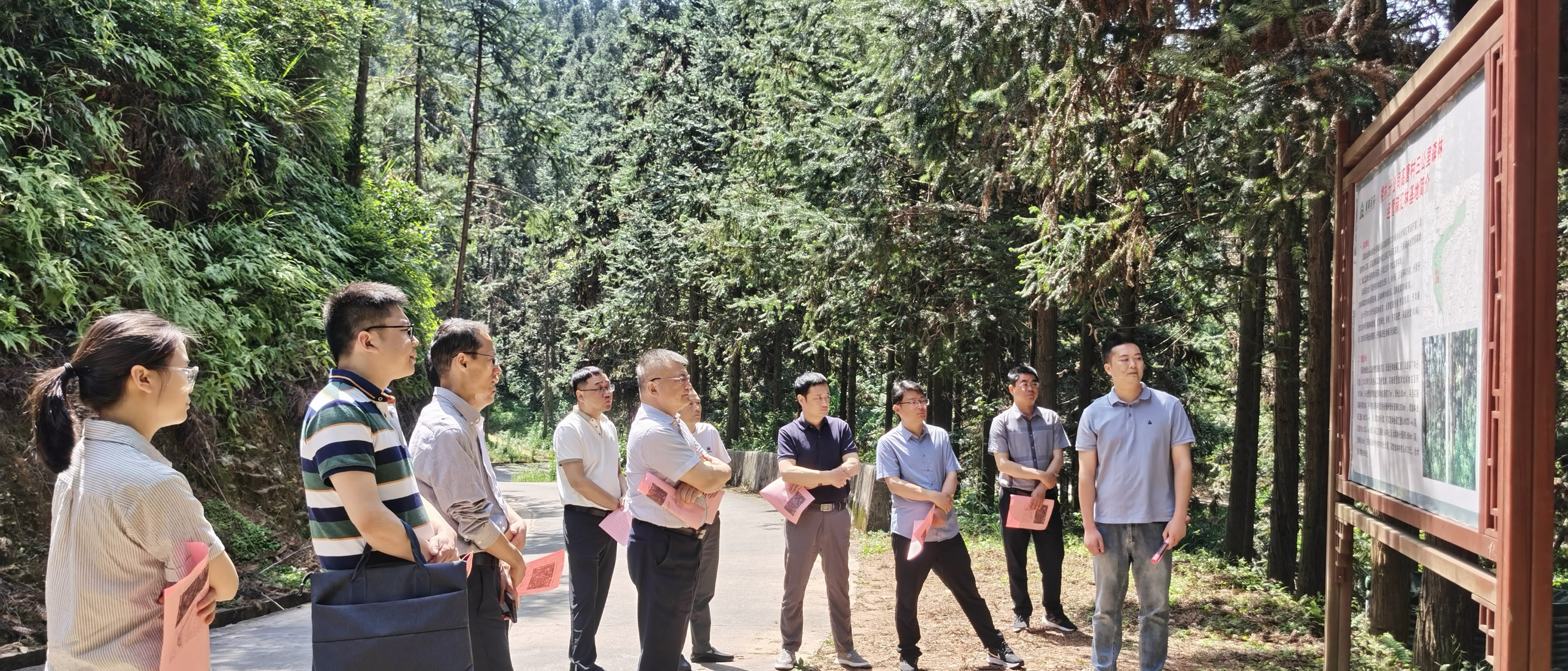 安徽省宣城市林業局赴福建金森參觀碳匯林建設 安徽省宣城市林業局赴福建金森參觀碳匯林建設