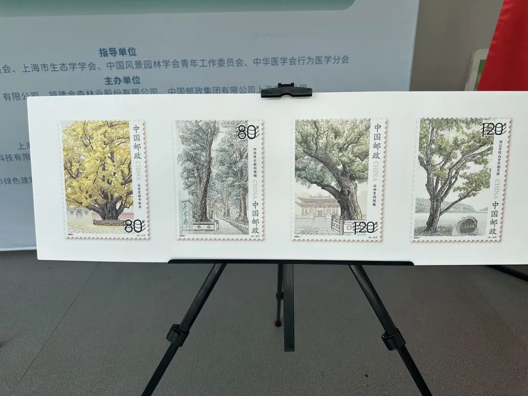 全國生態(tài)日來了!福建金森攜手舉辦上海“山海同普·杏好有你”活動 全國生態(tài)日來了!福建金森攜手舉辦上海“山海同普·杏好有你”活動